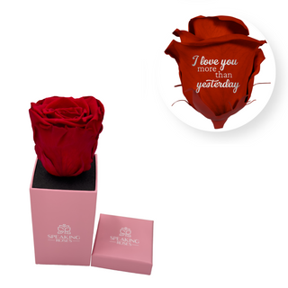 I love you more than yesterday - Square Paper Box  (1 Preserved Head)