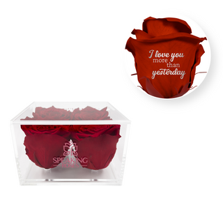 I love you more than yesterday - Square Acrylic Box  (4 Preserved Heads)