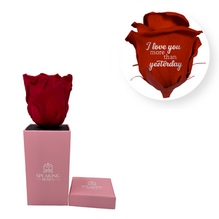 I love you more than yesterday - Square Paper Box  (1 Preserved Head)