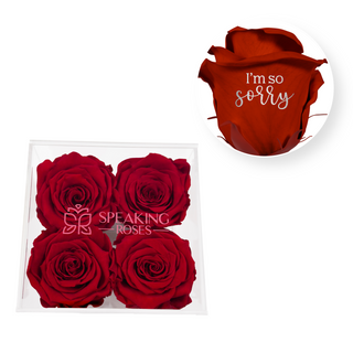 I´m so sorry - Square Acrylic Box  (4 Preserved Heads)