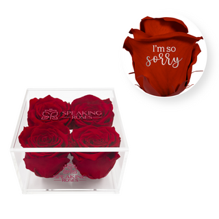I´m so sorry - Square Acrylic Box  (4 Preserved Heads)