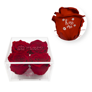Kiss Me- Square Acrylic Box  (4 Preserved Heads)