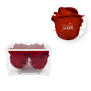 Make a wish - Square Acrylic Box  (4 Preserved Heads)