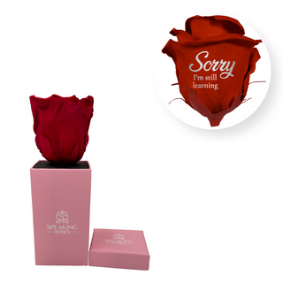 Sorry, I´m still learning - Square Paper Box  (1 Preserved Head)
