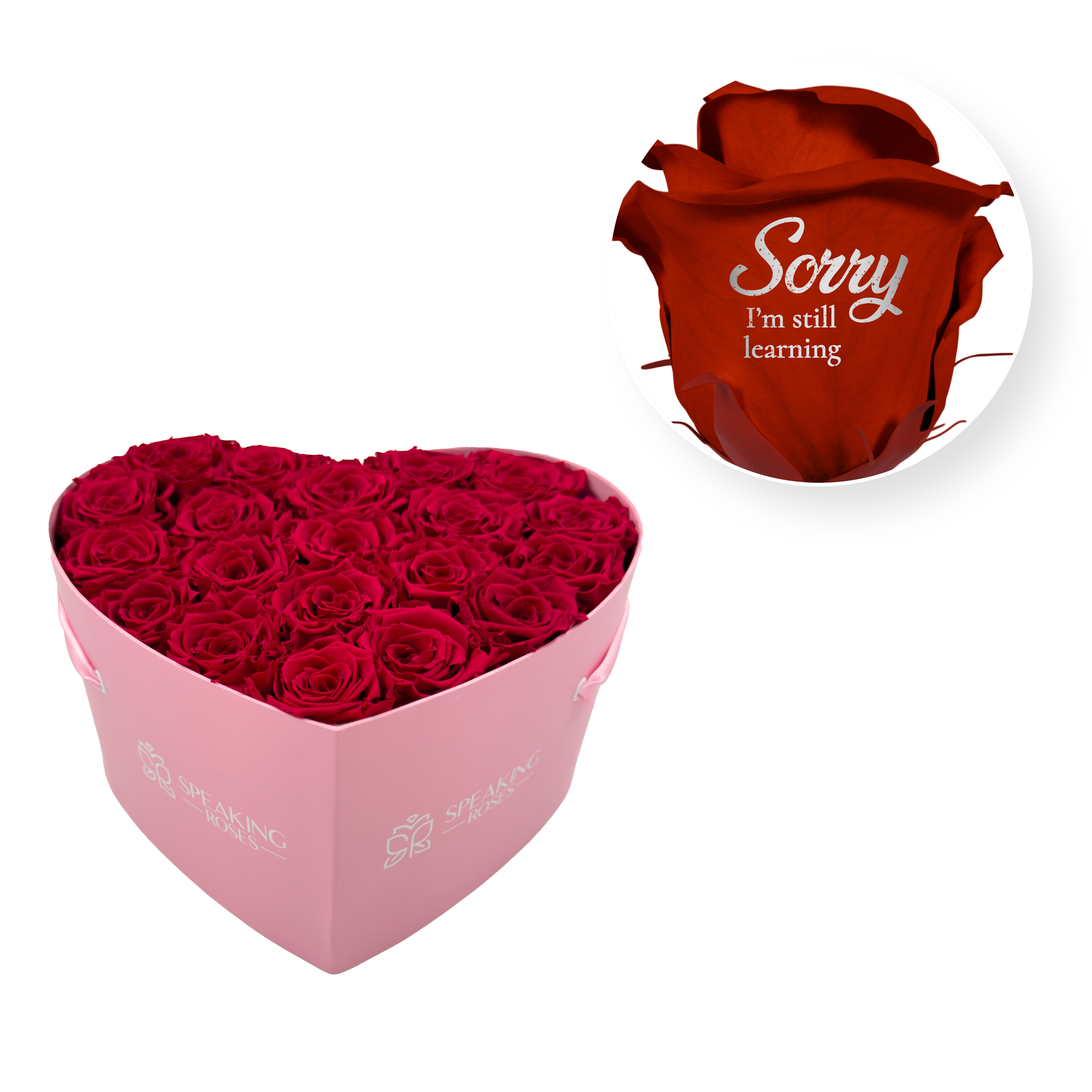 Sorry, I'm Still Learning - Heart Paper Box (20 Preserved Rose Heads)