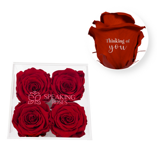 Thinking of you - Square Acrylic Box  (4 Preserved Heads)