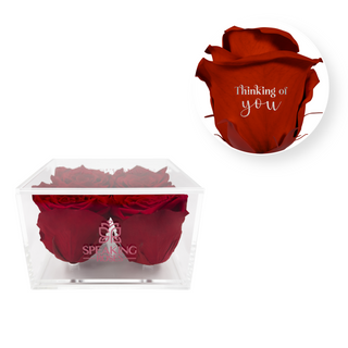 Thinking of you - Square Acrylic Box  (4 Preserved Heads)