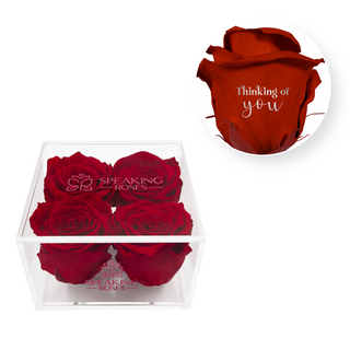 Thinking of you - Square Acrylic Box  (4 Preserved Heads)