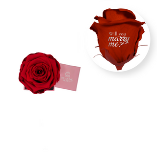 Will you marry me? - Square Paper Box  (1 Preserved Head)