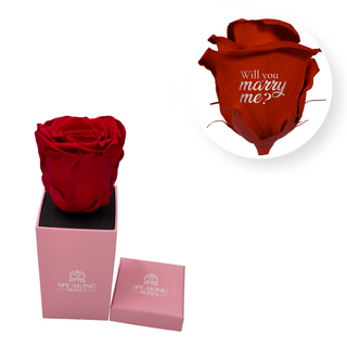 Will you marry me? - Square Paper Box  (1 Preserved Head)