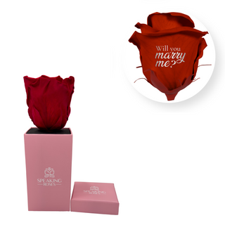 Will you marry me? - Square Paper Box  (1 Preserved Head)