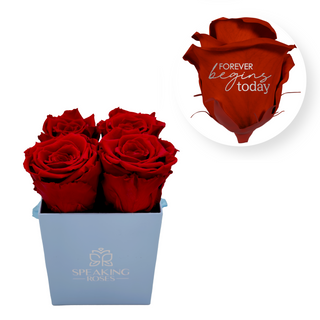 Forever begins today - Square Paper Box  (4 Preserved Head)
