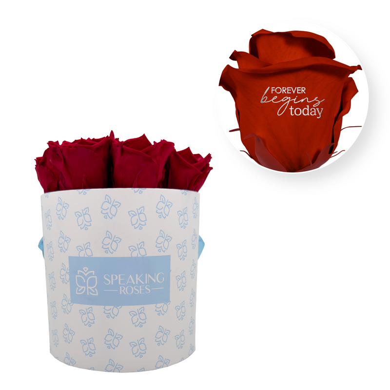 Personalize Your Message - Round Paper Box (9 Life-Lasting Rose Heads)