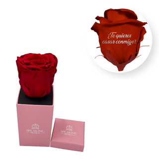 ¿Te quieres casar conmigo? - Square Paper Box  (1 Preserved Head)