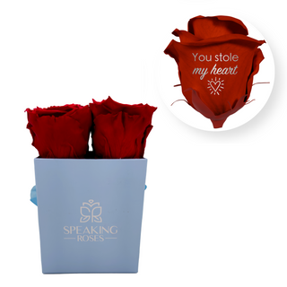 You stole my heart - Square Paper Box  (4 Preserved Head)