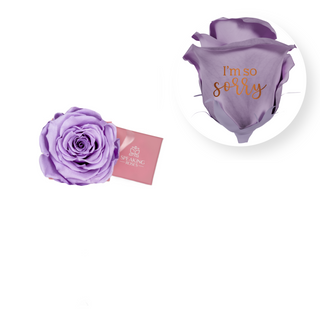 I´m so sorry - Square Paper Box  (1 Preserved Head)