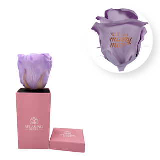 Will you marry me? - Square Paper Box  (1 Preserved Head)