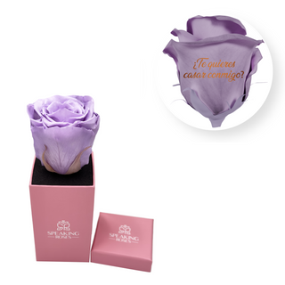 ¿Te quieres casar conmigo? - Square Paper Box  (1 Preserved Head)