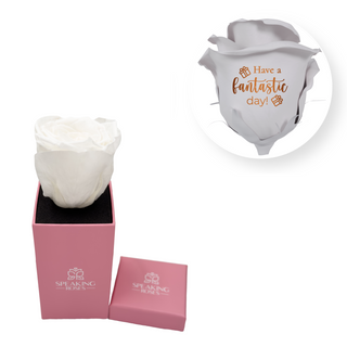 Have a fantastic day! - Square Paper Box  (1 Preserved Head)