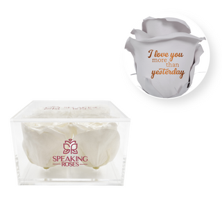 I love you more than yesterday - Square Acrylic Box  (4 Preserved Heads)