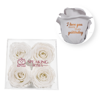 I love you more than yesterday - Square Acrylic Box  (4 Preserved Heads)