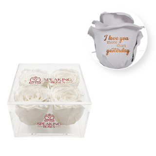 I love you more than yesterday - Square Acrylic Box  (4 Preserved Heads)