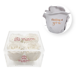 Thinking of you - Square Acrylic Box  (4 Preserved Heads)