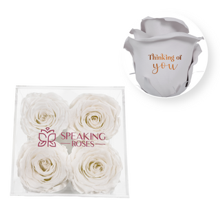 Thinking of you - Square Acrylic Box  (4 Preserved Heads)