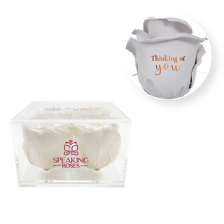 Thinking of you - Square Acrylic Box  (4 Preserved Heads)