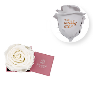 Will you marry me? - Square Paper Box  (1 Preserved Head)