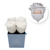 WHITE-01