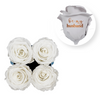 WHITE-01