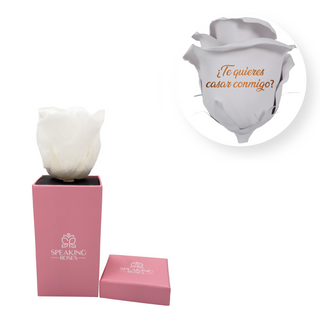 ¿Te quieres casar conmigo? - Square Paper Box  (1 Preserved Head)