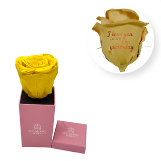 I love you more than yesterday - Square Paper Box  (1 Preserved Head)