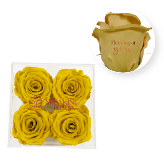 Thinking of you - Square Acrylic Box  (4 Preserved Heads)