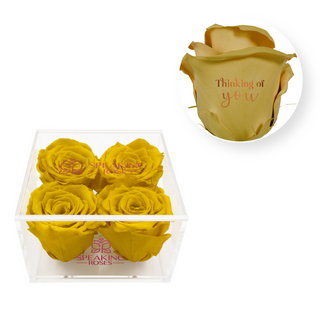 Thinking of you - Square Acrylic Box  (4 Preserved Heads)