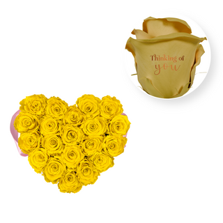 Thinking of you - Heart Paper Box  (20 Preserved Heads)
