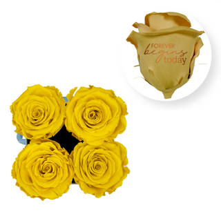 Forever begins today - Square Paper Box  (4 Preserved Head)