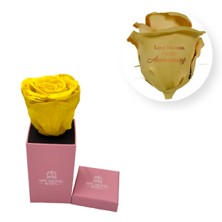 Love blooms, happy anniversary! - Square Paper Box  (1 Preserved Head)