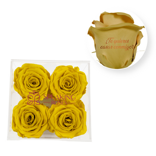 Te quieres casar conmigo? - Square Acrylic Box  (4 Preserved Heads)