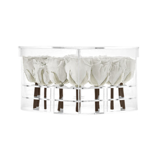 Lumira HO - Funeral Collection