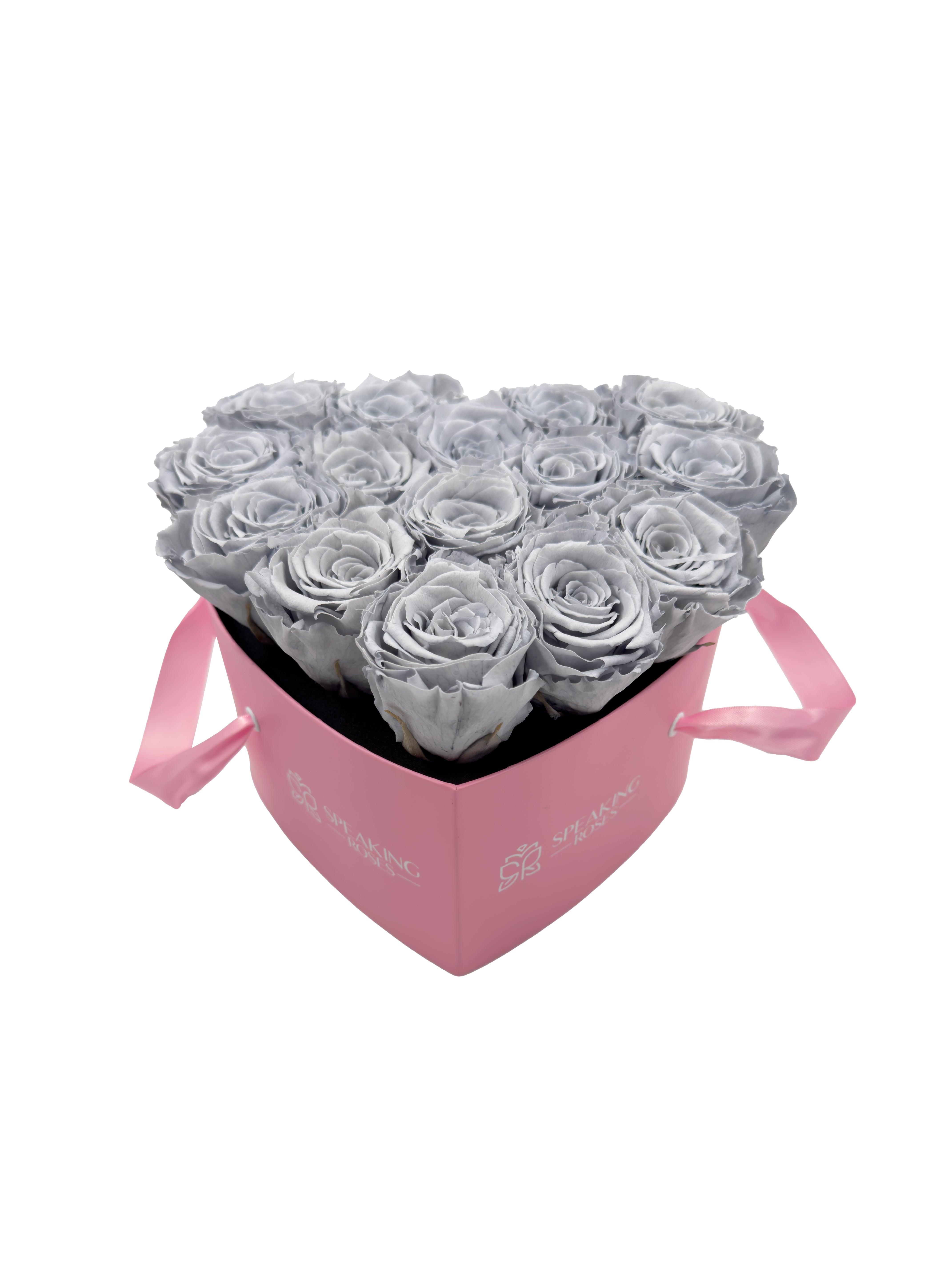 Heart Paper Box (15 Preserved Heads)