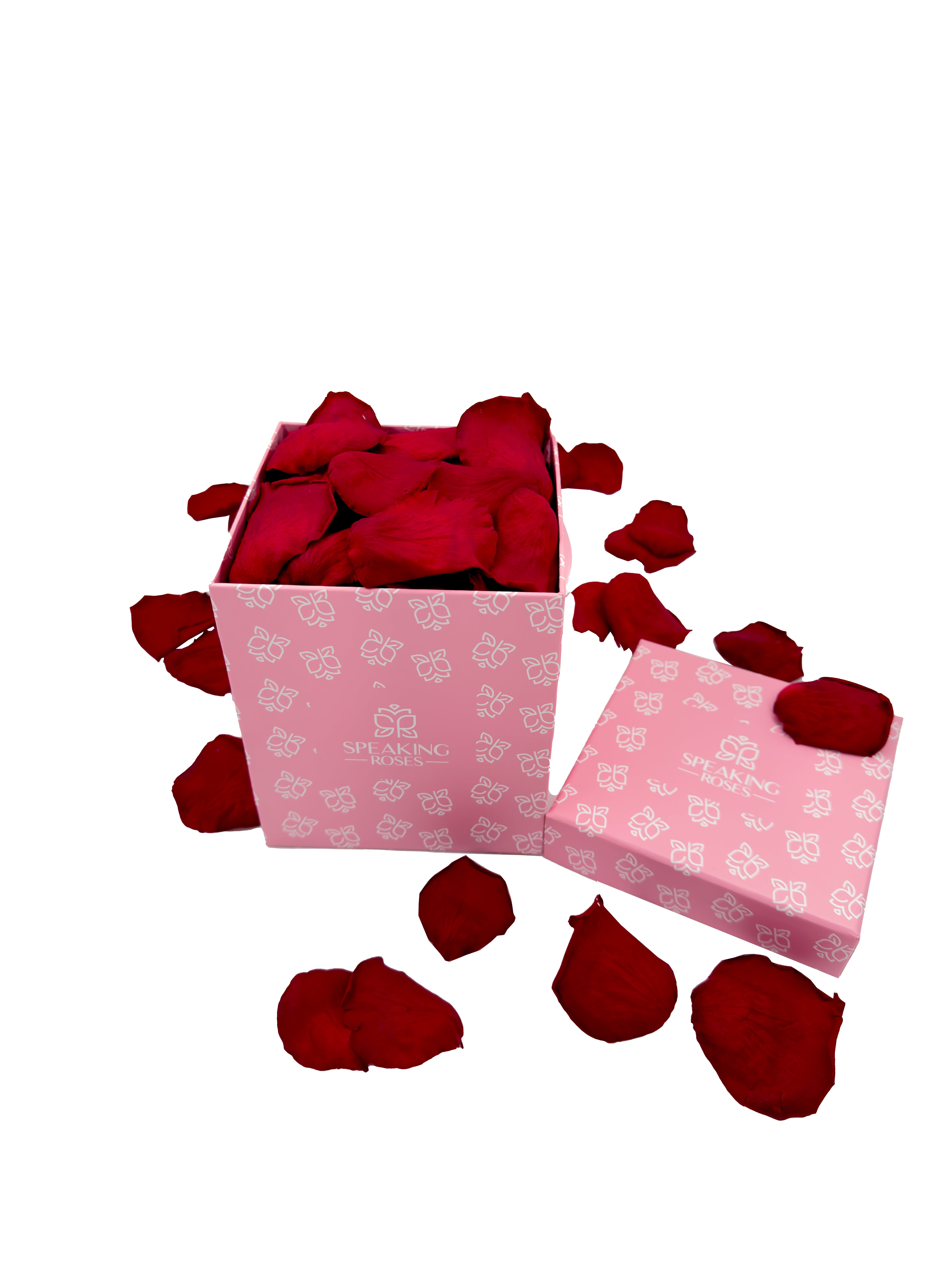 Square Paper Box (100 Preserved Petals)