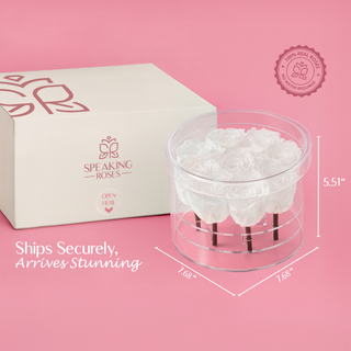 Acrisse Nue - Valentine's Day Collection