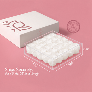 Equoria V25 - Valentine's Day Collection