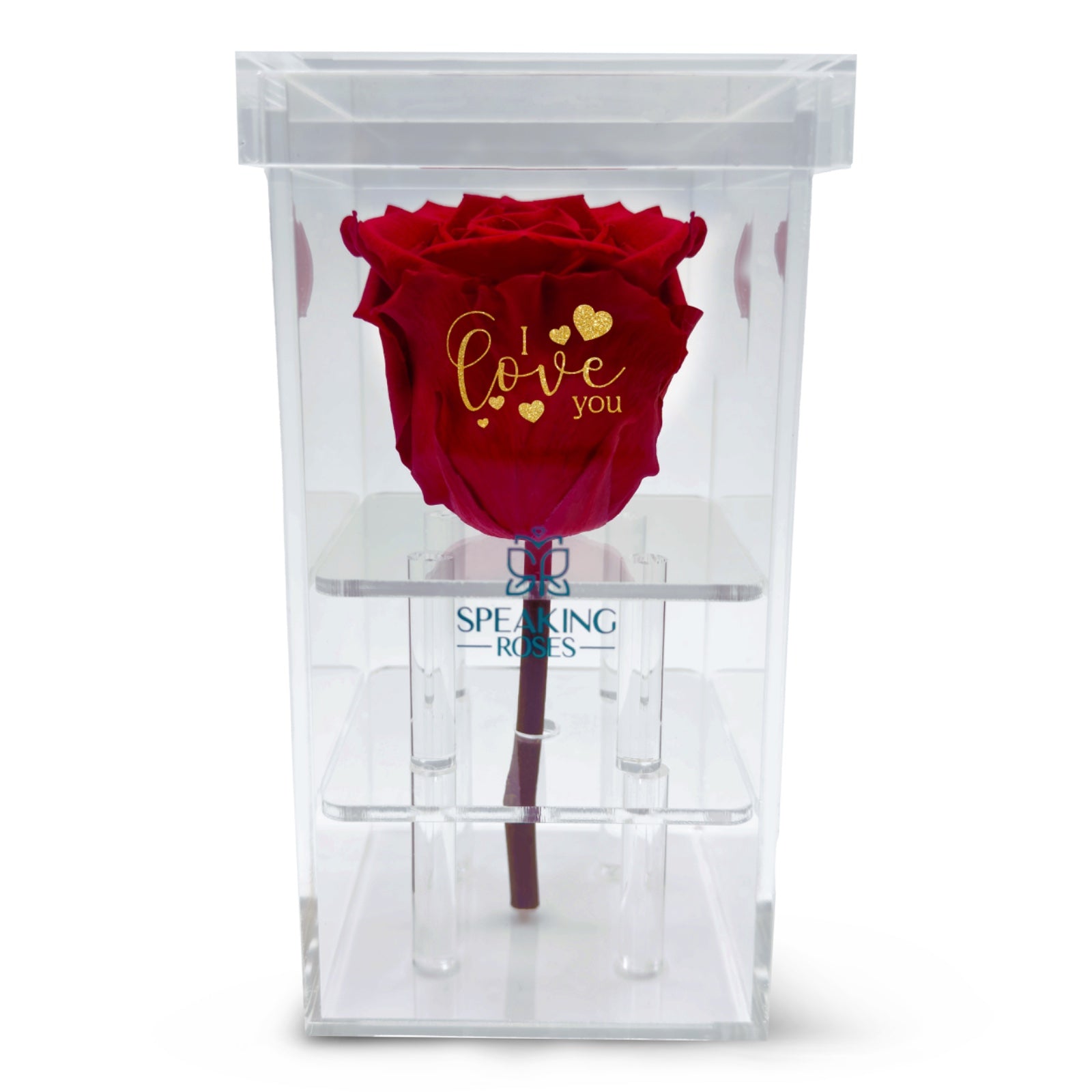 Valentine's day - I love you - Acrylic Square Box (1 Rose)