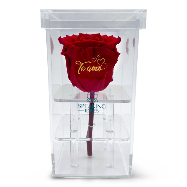 Valentine's day - Te amo - Acrylic Square Box (1 Rose)