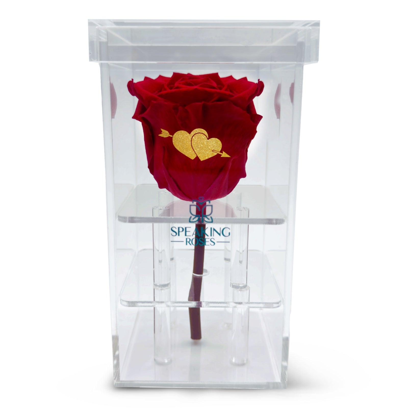 Valentine's day - Cupid - Acrylic Square Box (One Premium Rose)