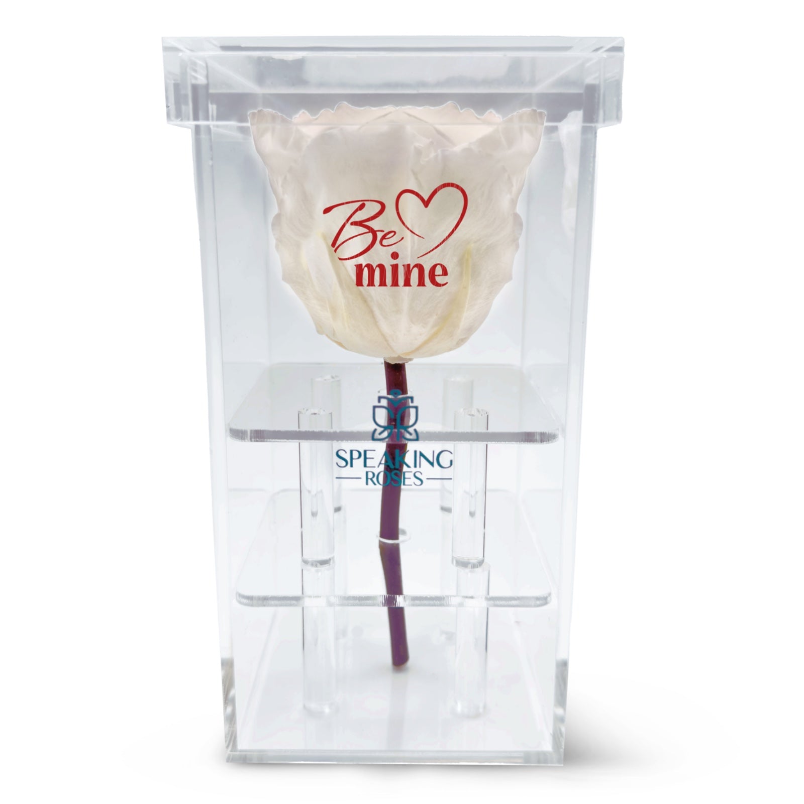 Valentine's day - Be mine - Acrylic Square Box (1 Rose)