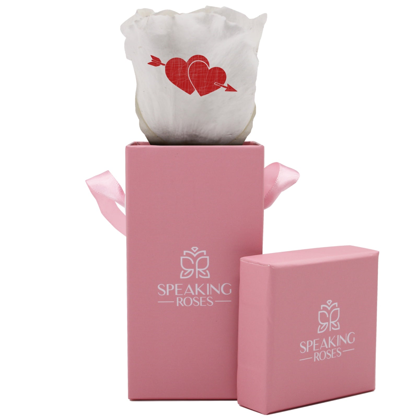 Valentine's day - Cupid - Square Pull and Bloom Box (One Premium Rose)